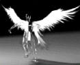 Angel Wings +13 Full